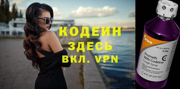 прущие грибы Балахна