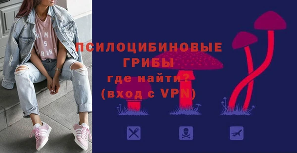 прущие грибы Балахна