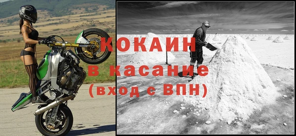 прущие грибы Балахна