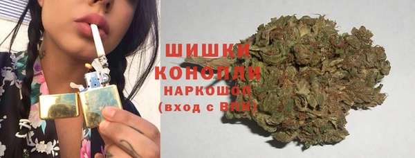 прущие грибы Балахна