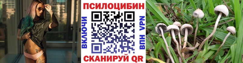 Псилоцибиновые грибы прущие грибы Бор